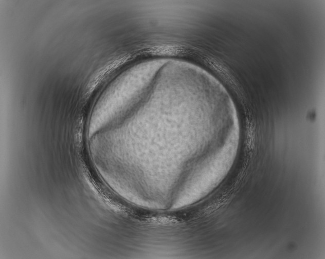 X0000115670586200912031358