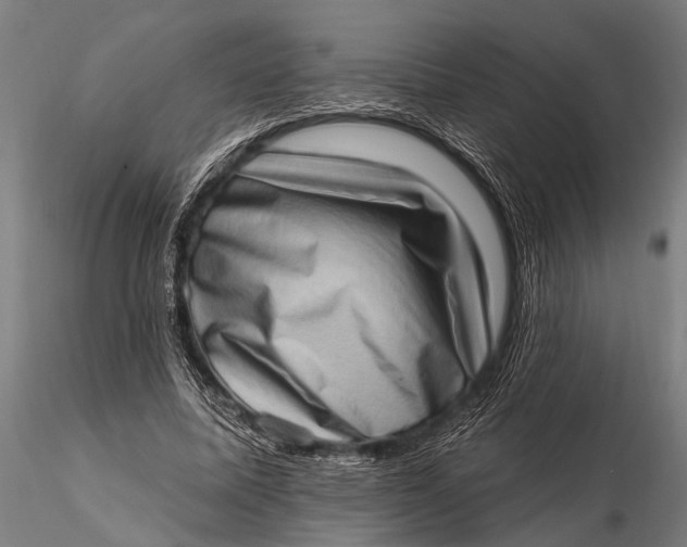 X0000115670587200912031358