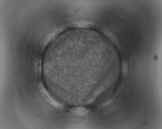 X0000115670589200912031358