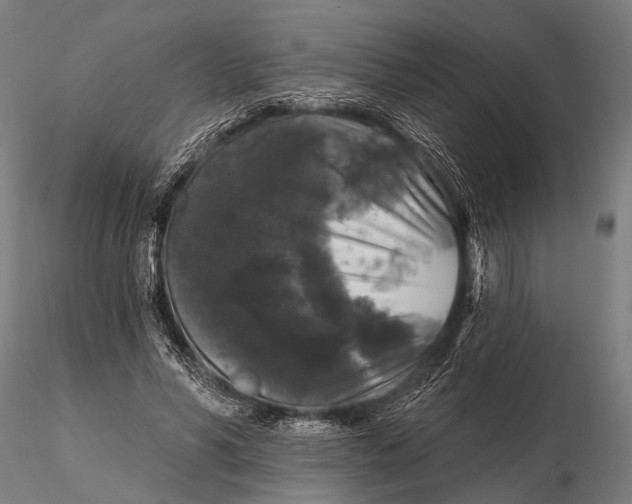 X0000115670590200912031358