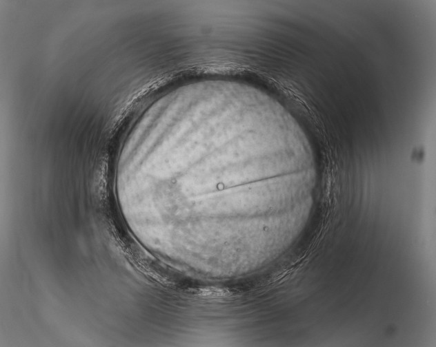 X0000115670591200912031358