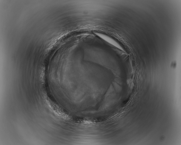 X0000115670592200912031358