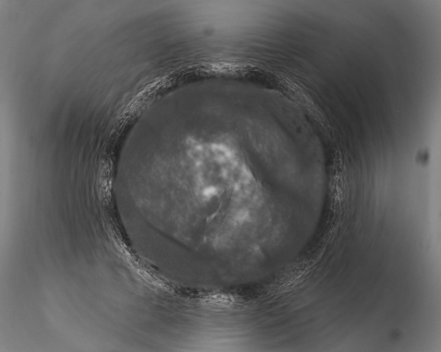 X0000115670593200912031358