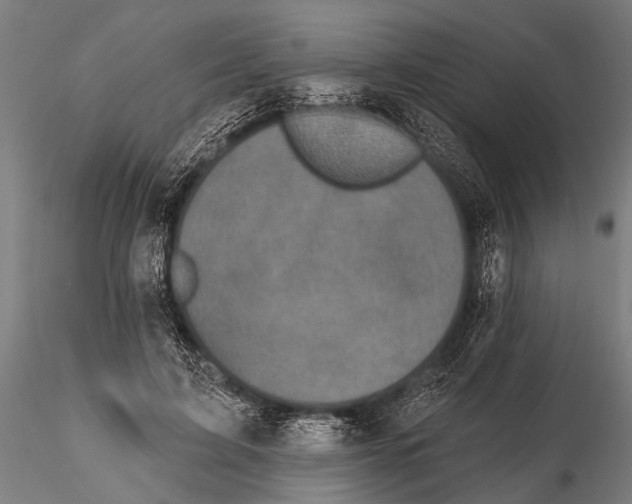 X0000115670595200912031358