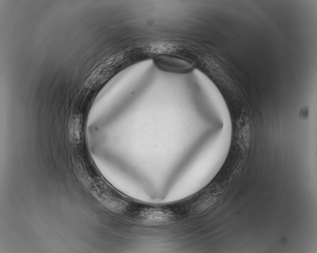 X0000115670597200912031358