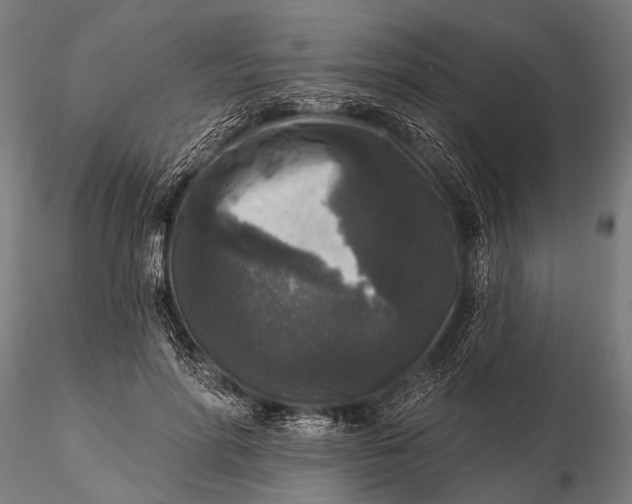 X0000115670598200912031358