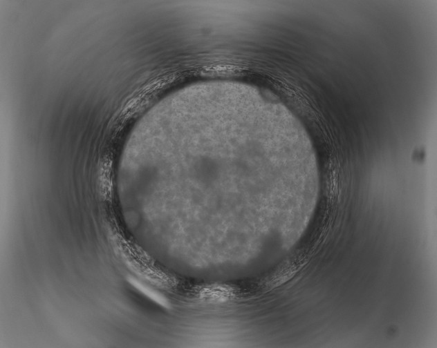 X0000115670599200912031358