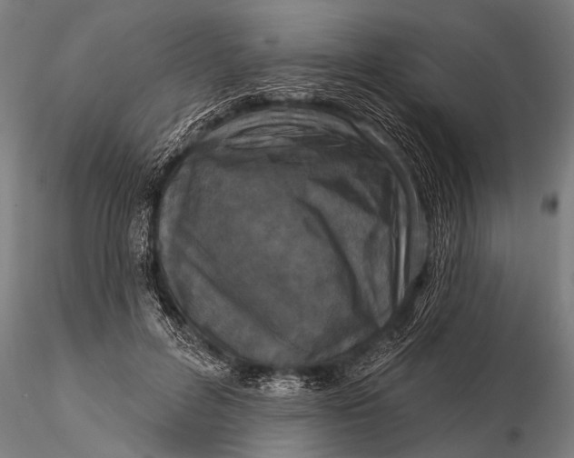 X0000115670600200912031358