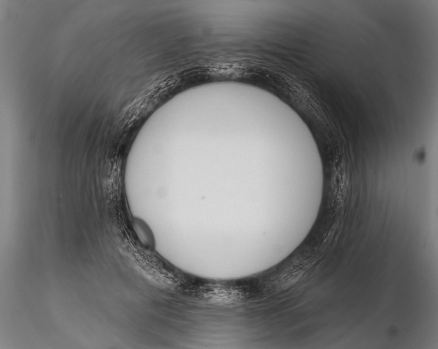 X0000115670601200912031358