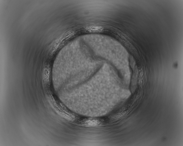 X0000115670604200912031358