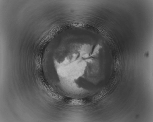 X0000115670606200912031358