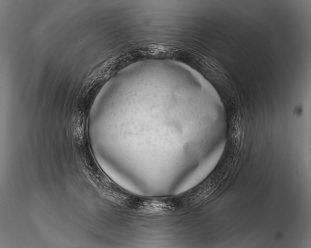 X0000115670607200912031358