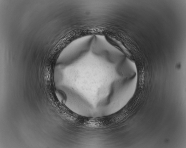 X0000115670608200912031358