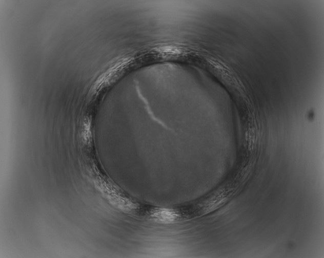 X0000115670610200912031358