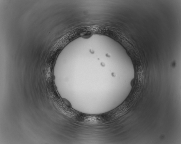 X0000115670611200912031358