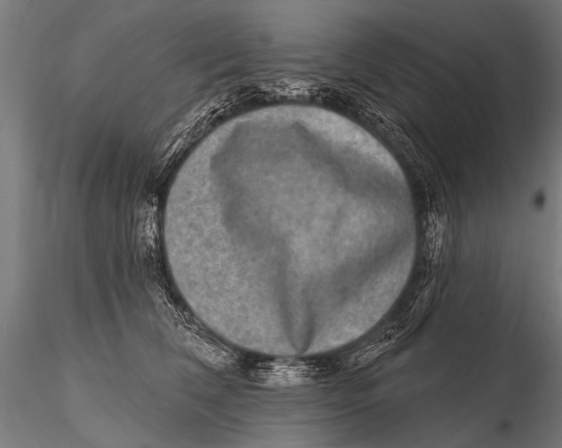 X0000115670612200912031358