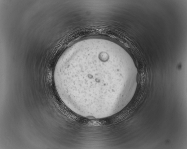 X0000115670613200912031358