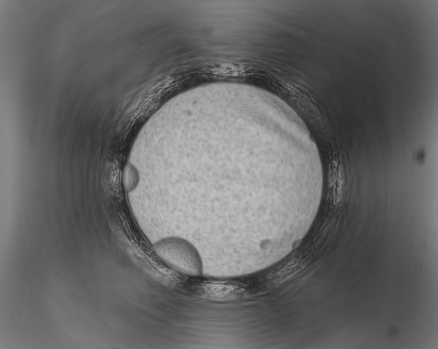 X0000115670614200912031358