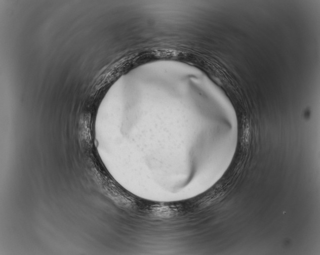 X0000115670616200912031358