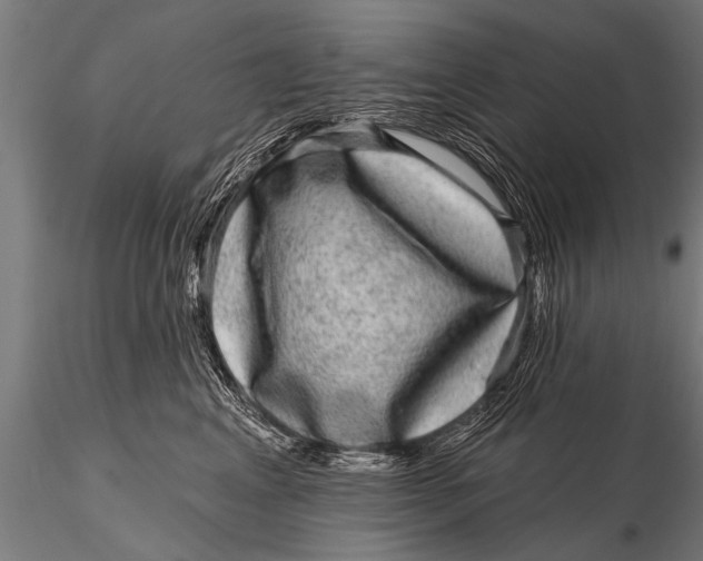 X0000115670617200912031358