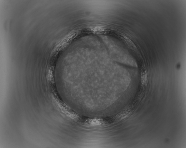 X0000115670618200912031358