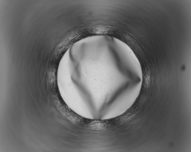 X0000115670620200912031357