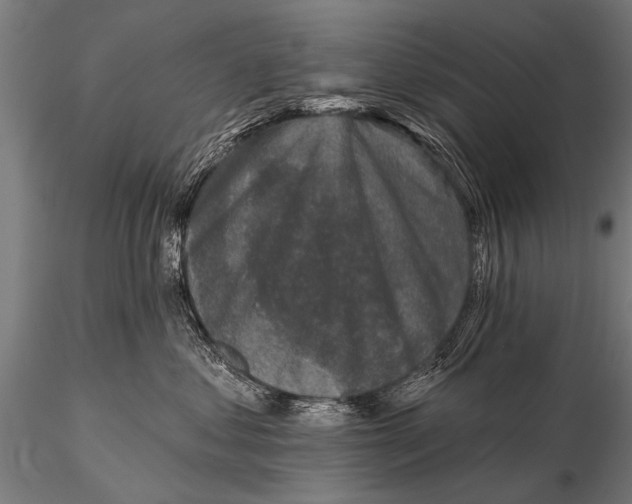 X0000115670621200912031357