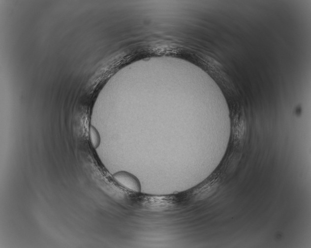 X0000115670622200912031357