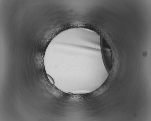 X0000115670624200912031357