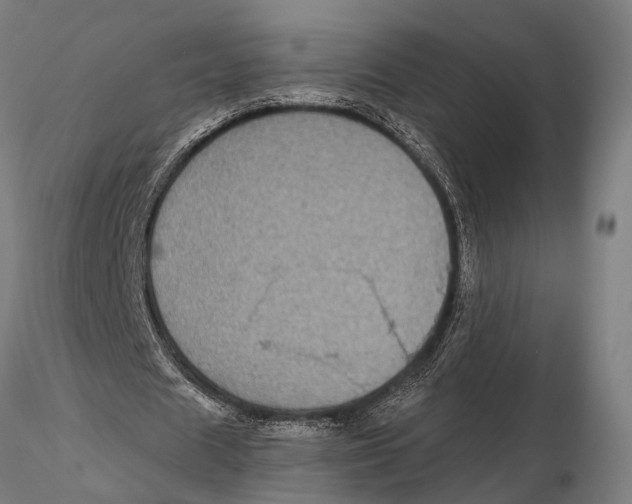 X0000115670625200912031357