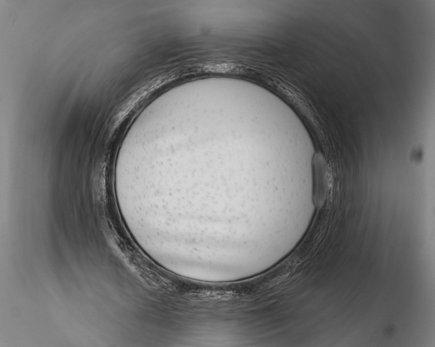 X0000115670626200912031357