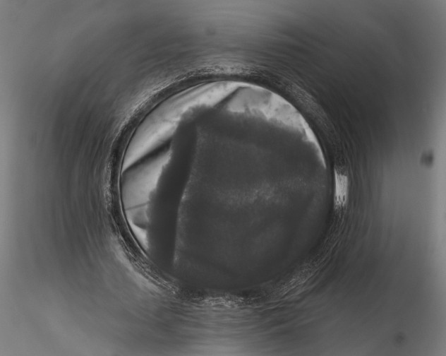 X0000115670627200912031357