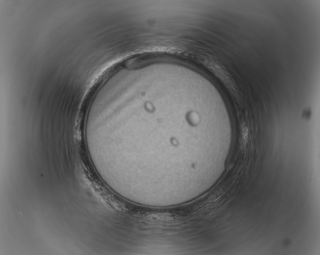 X0000115670628200912031357