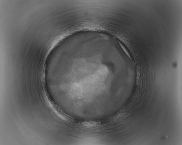 X0000115670630200912031357