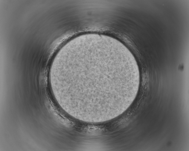 X0000115670632200912031357