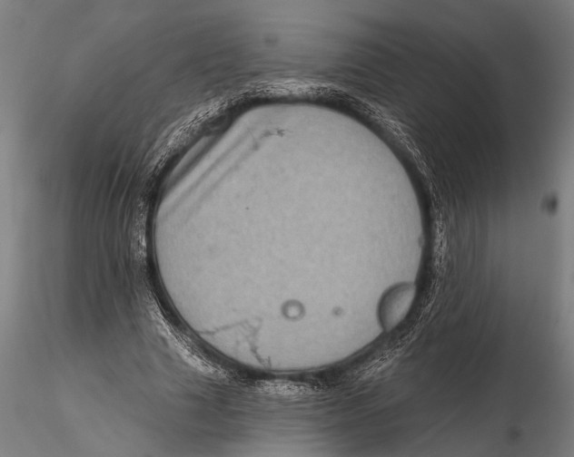 X0000115670633200912031357