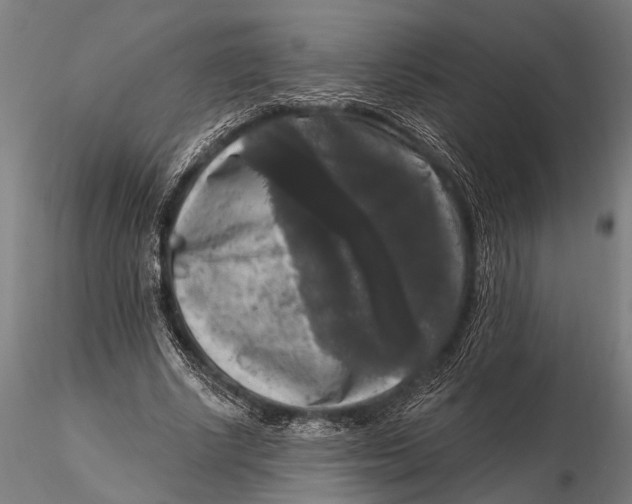 X0000115670634200912031357