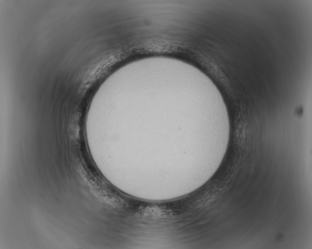 X0000115670635200912031357