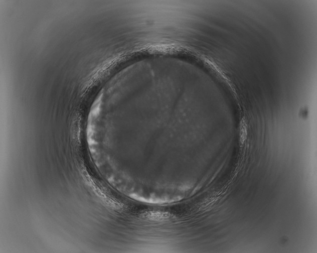 X0000115670637200912031357