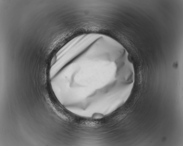 X0000115670638200912031357