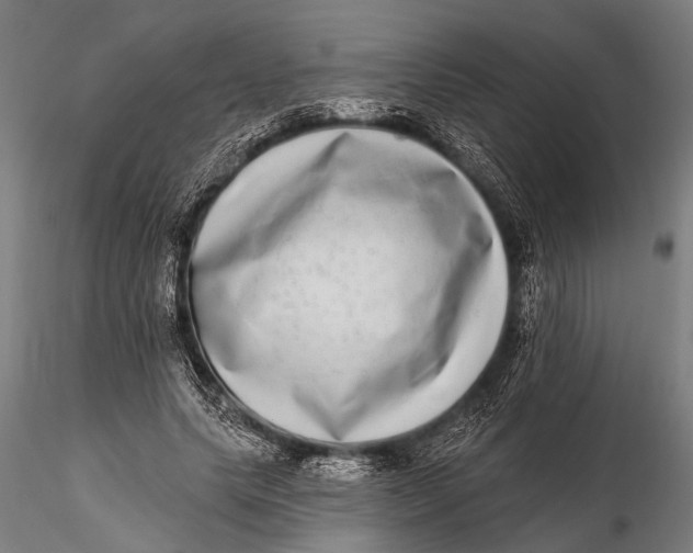 X0000115670639200912031357