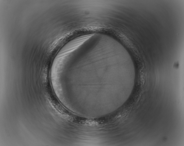 X0000115670640200912031357