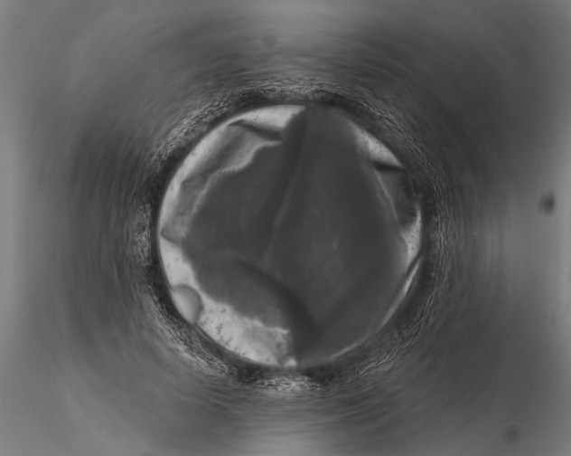 X0000115670642200912031357