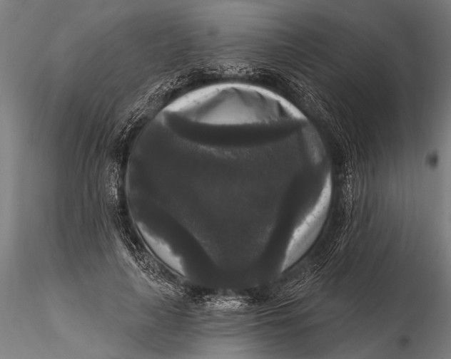 X0000115670643200912031357