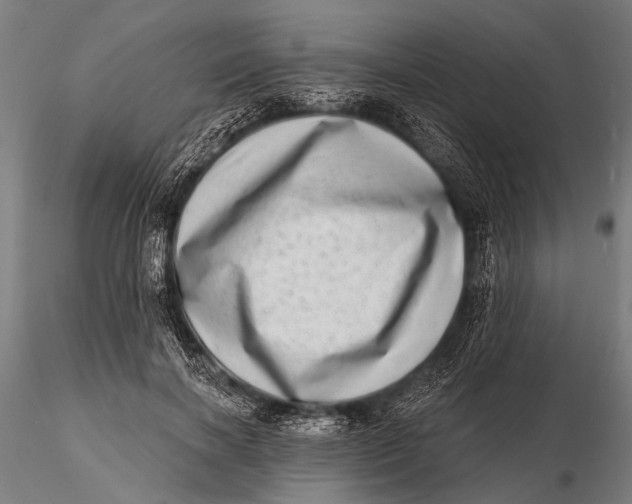 X0000115670646200912031357