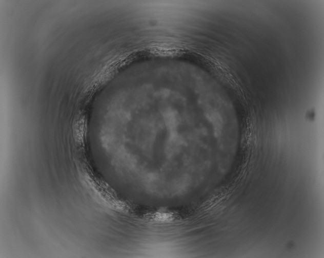 X0000115670647200912031357