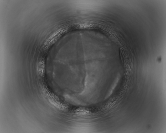 X0000115670648200912031357