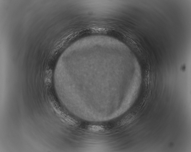 X0000115670649200912031357