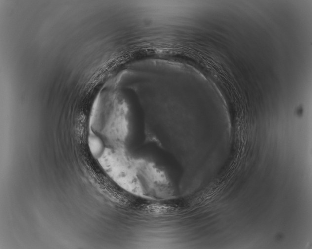 X0000115670650200912031357