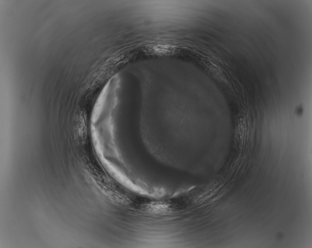 X0000115670651200912031357